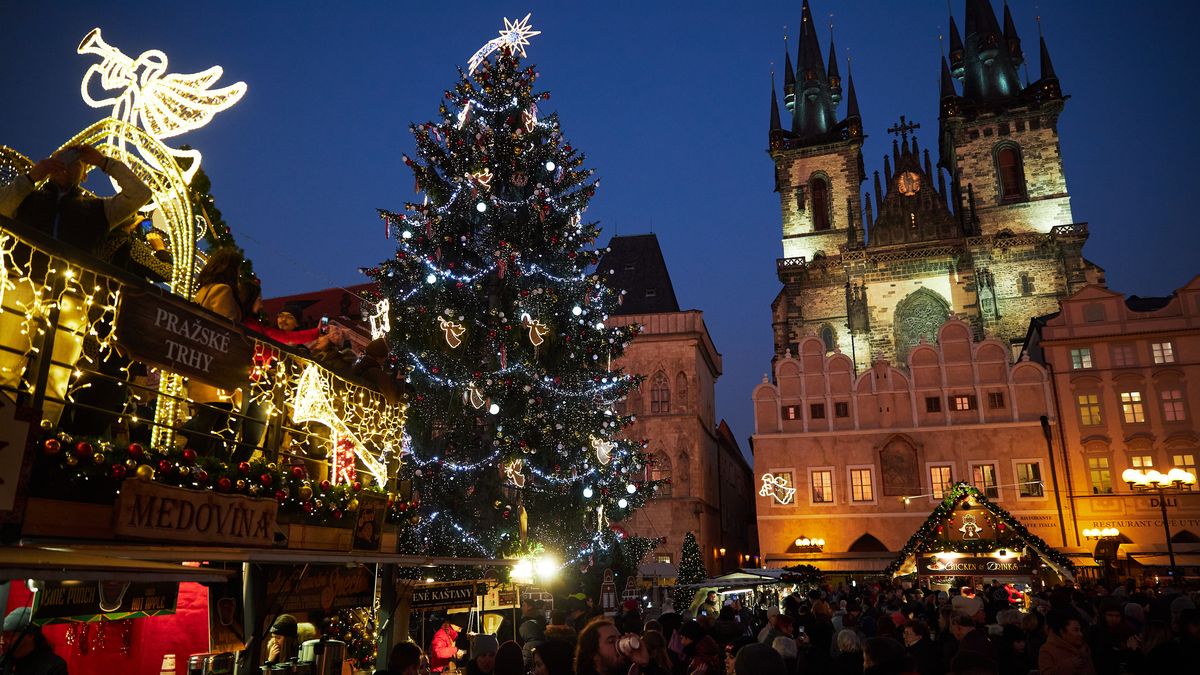 Pro vánoční trhy v Praze byl vybrán smrk z Jílového u Prahy